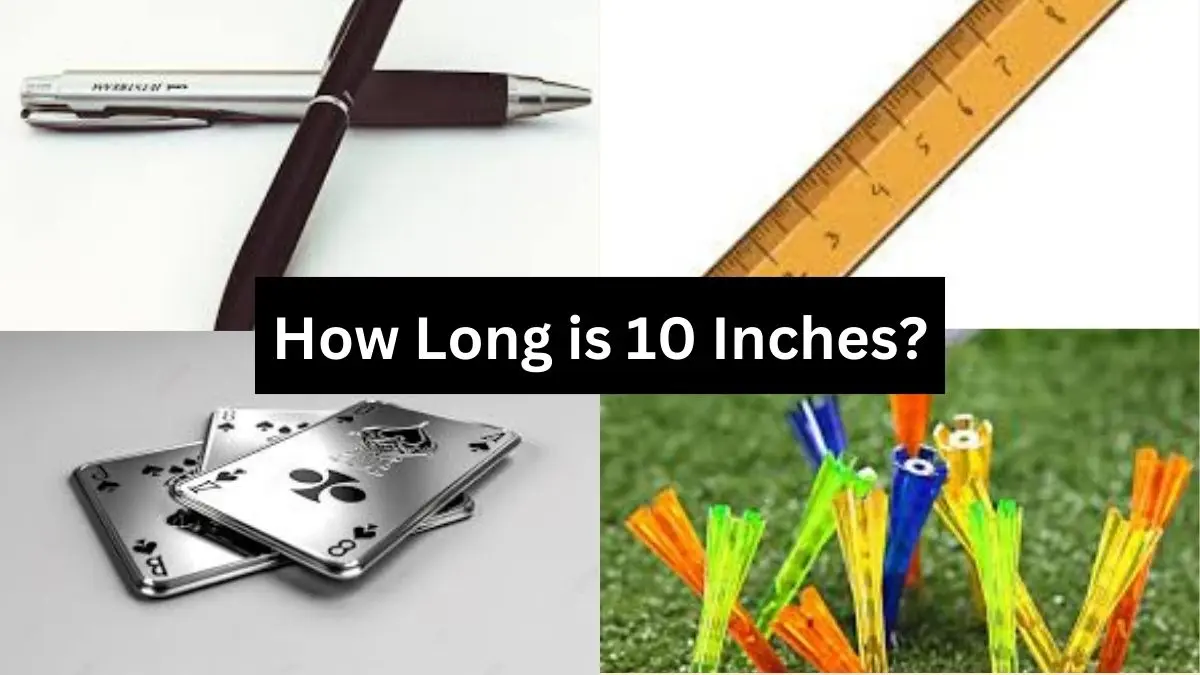 objects nearly 10 inches long