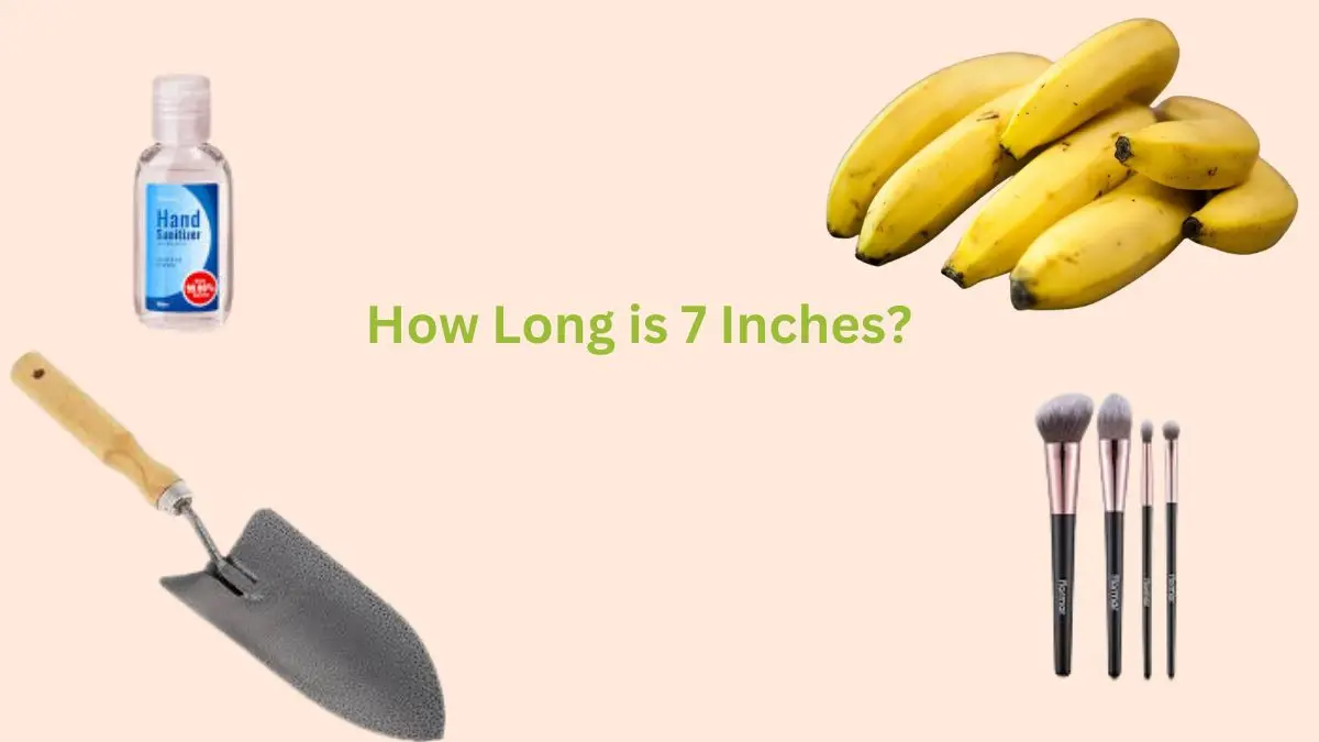 objects that are equal to 7 inches