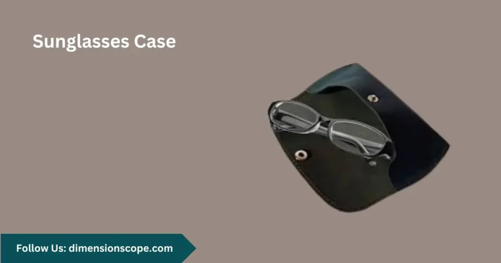 sunglasses case