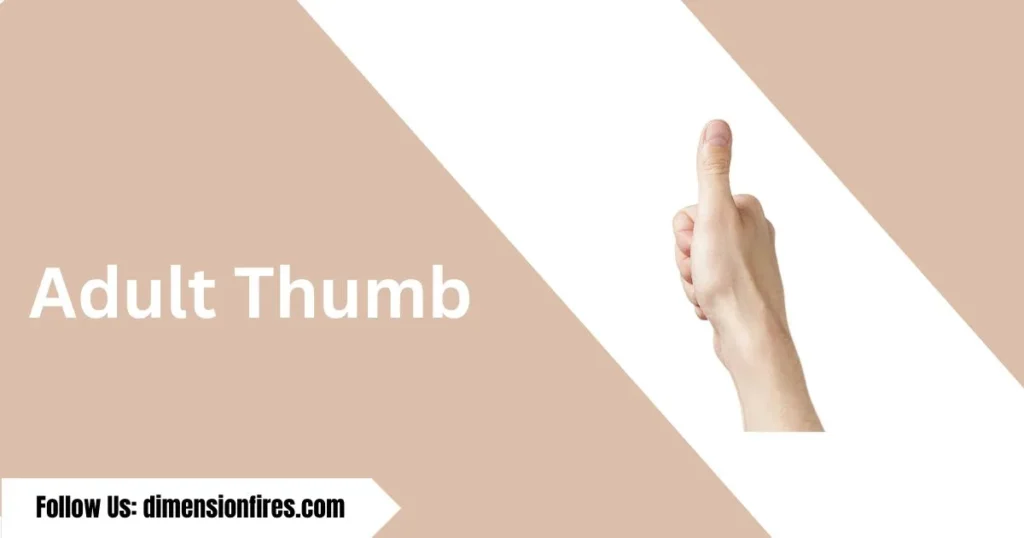 adult thumb