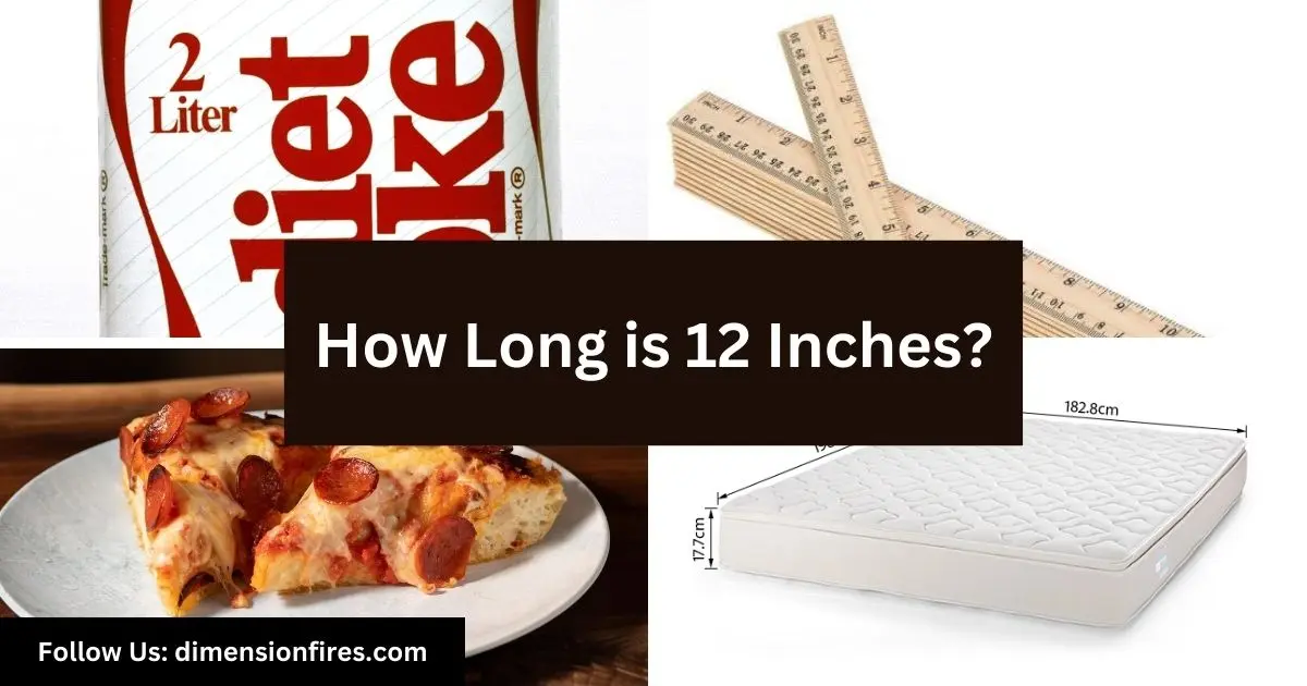 objects nearly 12 inches long