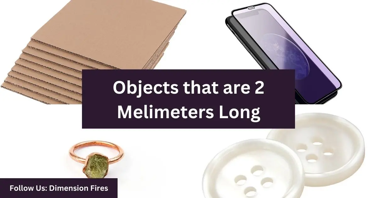 things equal to 2 mellimeters long