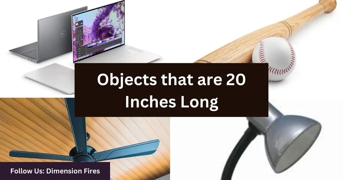 things equal to 20 inches long