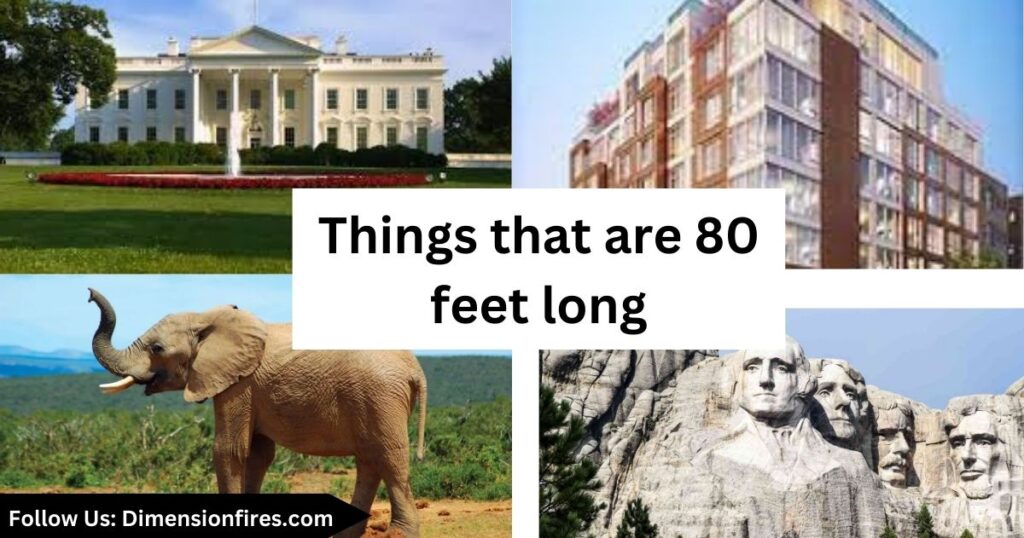 11 Common Things That Are 80 Feet Long 11-common-things-that-are-80-feet-long